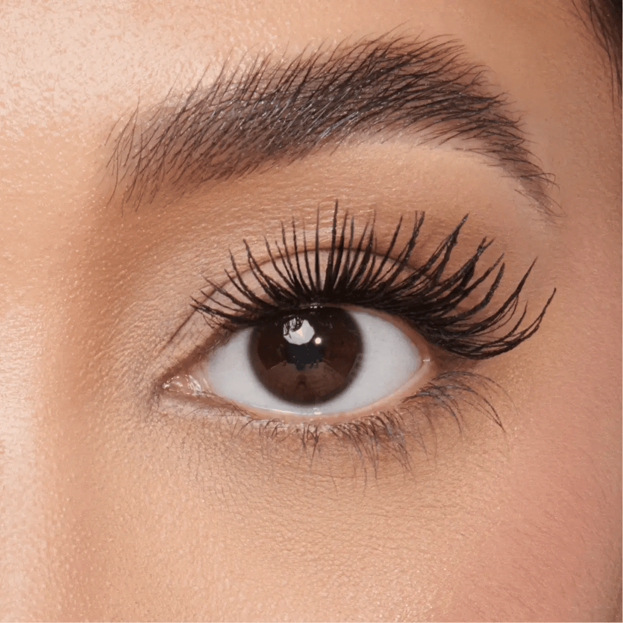 The Ultimate Magnetic Eyelash Kit